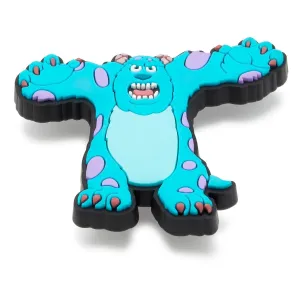 Disney Pixar Sully Jibbitz