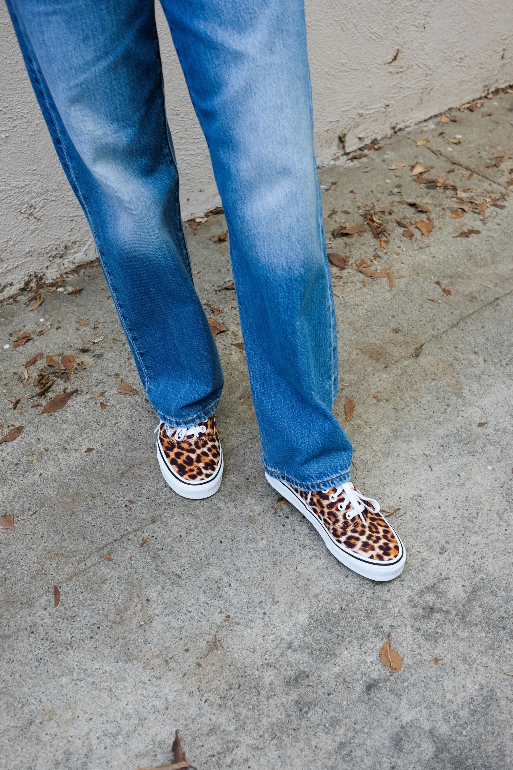 Leopard Era