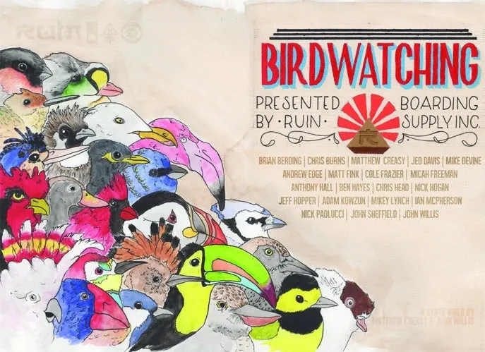 Ruin Skate Shop Birdwatching DVD